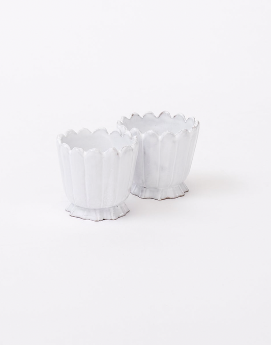 Marguerite Egg Cup